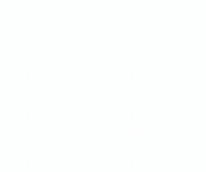 BOLOTA 