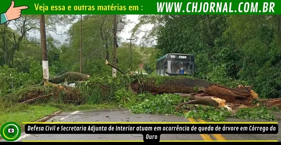 Defesa Civil e Secretaria Adjunta de Interior atuam em ocorrência de queda de árvore em Córrego do Ouro